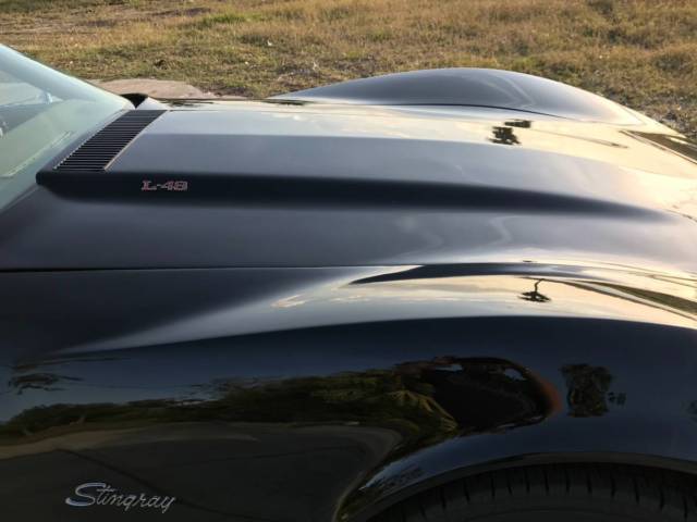 1976 Chevrolet Corvette COUPE T TOP TARGA TOP SOFT TOP - photo 9