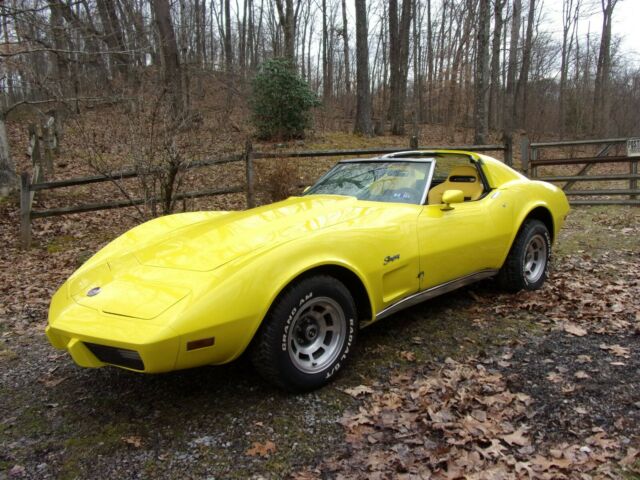 1976 Chevrolet Corvette StingRay - photo 6