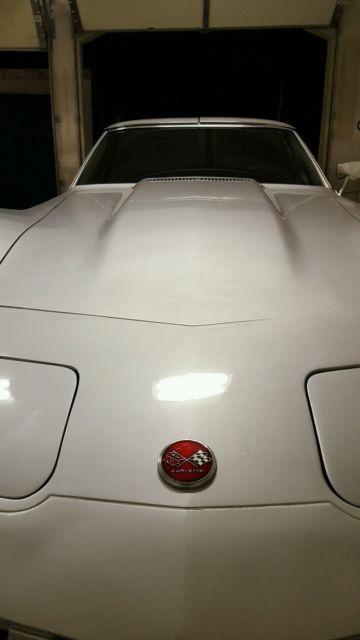 1976 Chevrolet Corvette Deluxe - photo 4