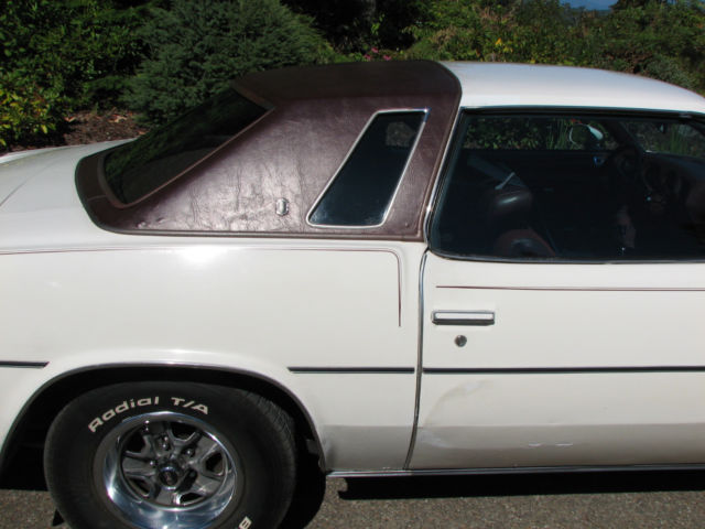 1976 Oldsmobile Cutlass - photo 11