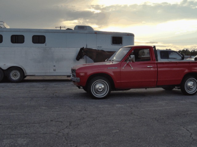 1976 Datsun Other - photo 8