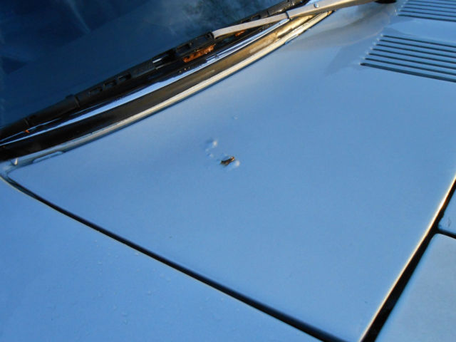 1976 Datsun Z-Series - photo 4