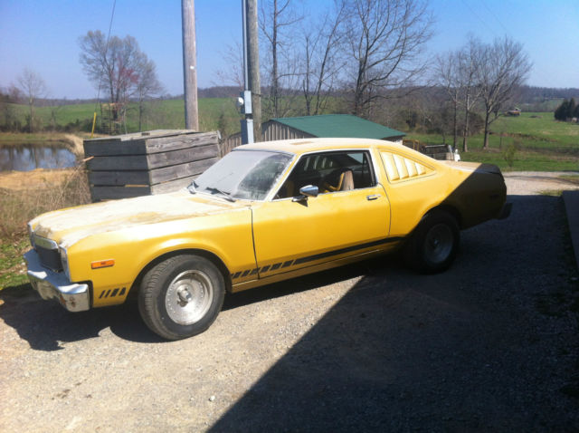 1976 Dodge Aspen SE - photo 5