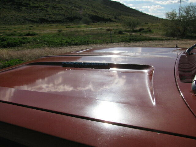 1976 Dodge Power Wagon W100 - photo 4