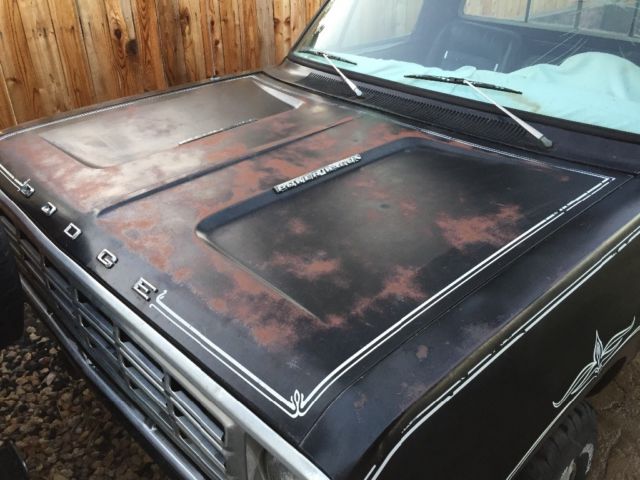 1976 Dodge Other Pickups Custom - photo 9