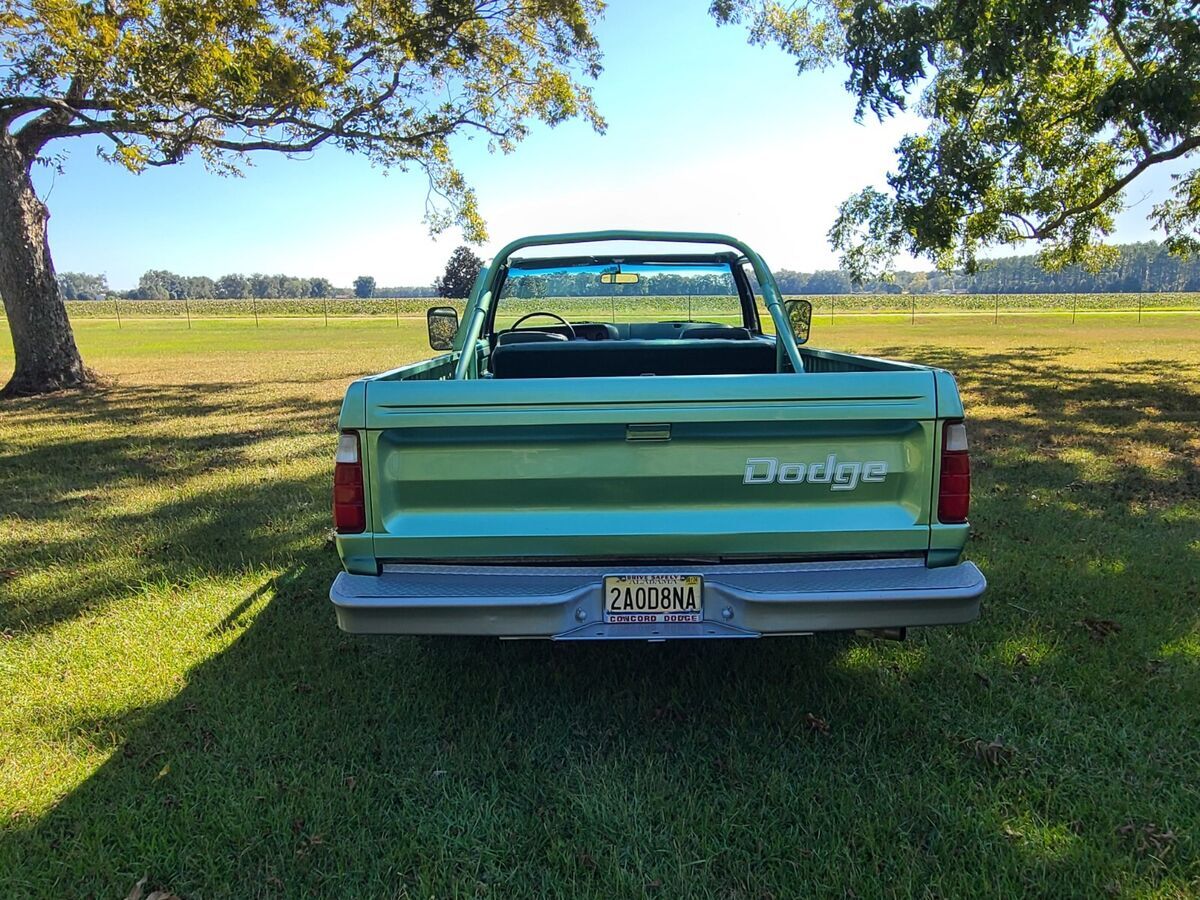 1976 Dodge Ramcharger - photo 7