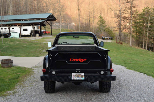 1976 Dodge Other Pickups - photo 6