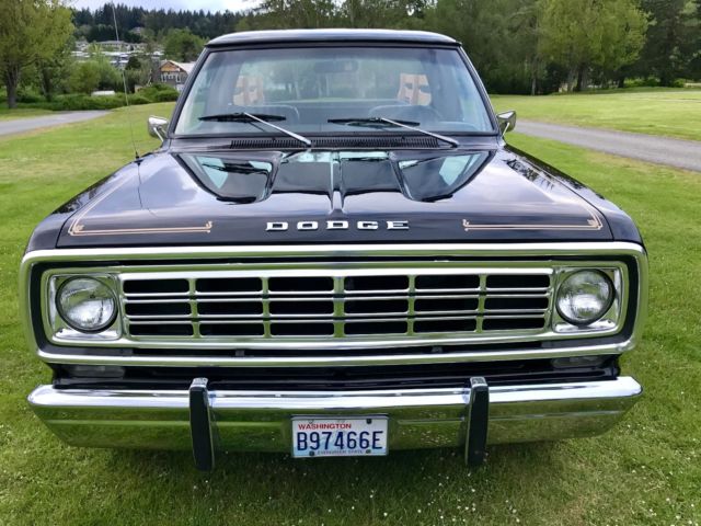 1976 Dodge Other Pickups 1976 Dodge Warlock 1 Owner 29k Orig Miles 4 Speed - photo 9