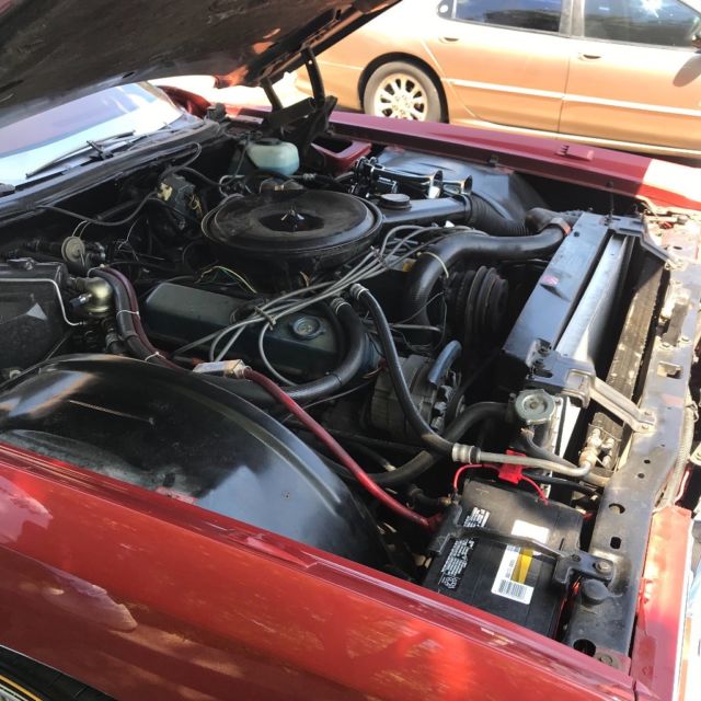 1976 Cadillac Eldorado Chrome - photo 7