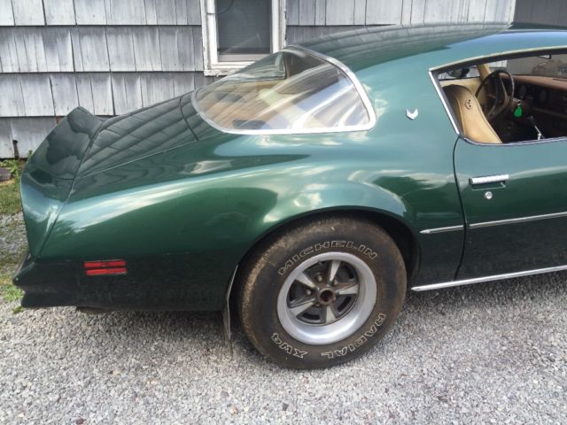 1976 Pontiac Firebird - photo 5