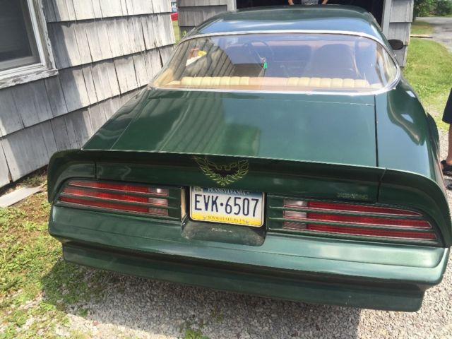 1976 Pontiac Firebird - photo 6