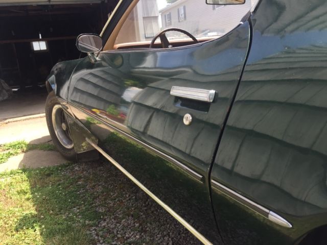 1976 Pontiac Firebird - photo 8