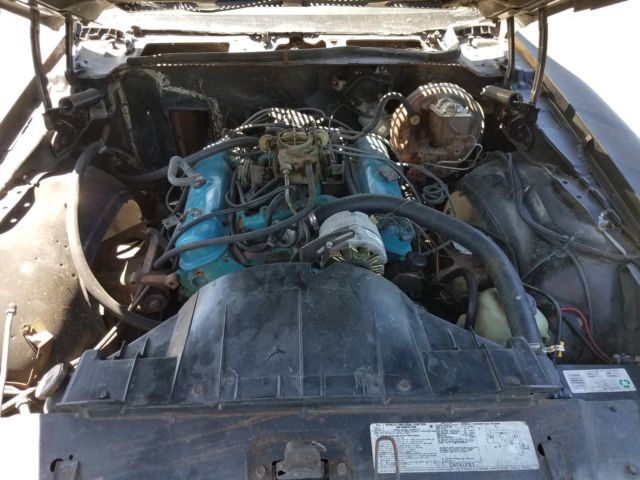 1976 Pontiac Firebird - photo 11