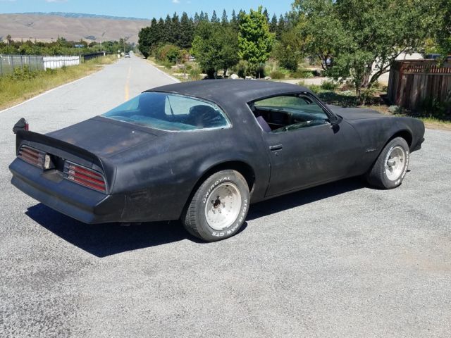 1976 Pontiac Firebird - photo 4