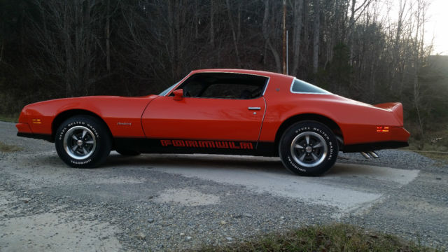 1976 Pontiac Firebird - photo 2