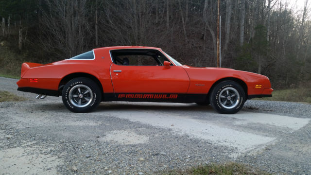 1976 Pontiac Firebird - photo 3