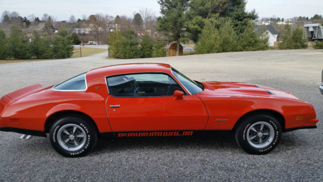 1976 Pontiac Firebird - photo 4