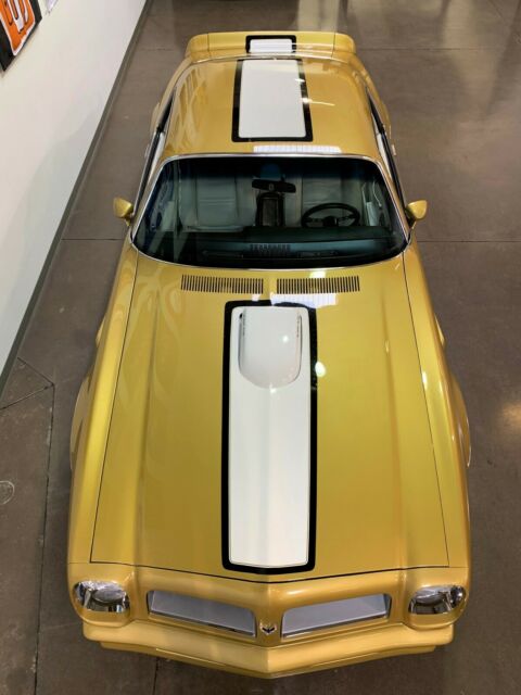 1976 Pontiac Firebird Ram Air 455CI * Trans Am Styling - photo 10