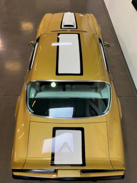 1976 Pontiac Firebird Ram Air 455CI * Trans Am Styling - photo 11