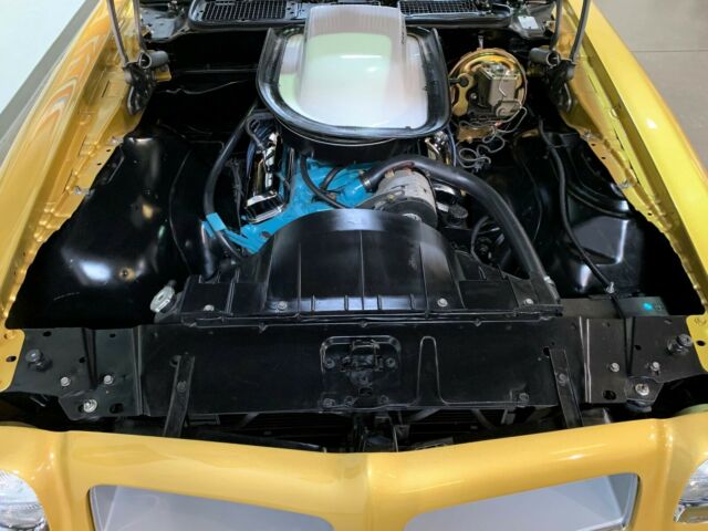 1976 Pontiac Firebird Ram Air 455CI * Trans Am Styling - photo 12