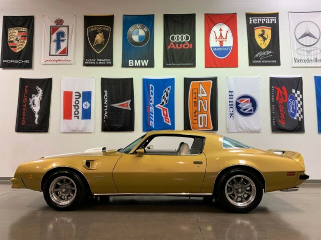 1976 Pontiac Firebird Shaker 455CI * Trans Am Styling * Pro-Touring - photo 3