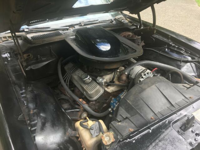 1976 Pontiac Firebird TRANS AM - photo 10