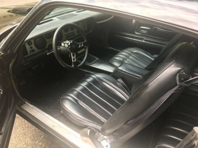 1976 Pontiac Firebird TRANS AM - photo 11