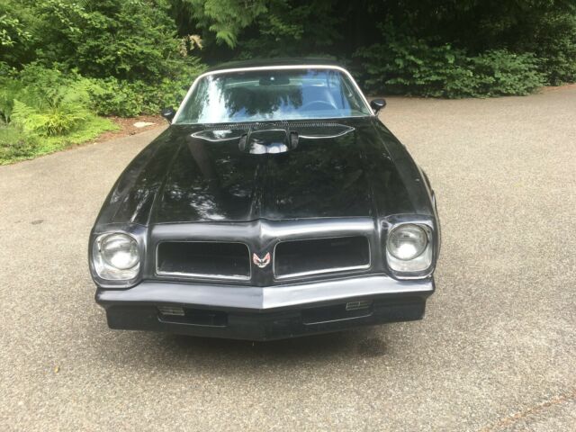 1976 Pontiac Firebird TRANS AM - photo 3