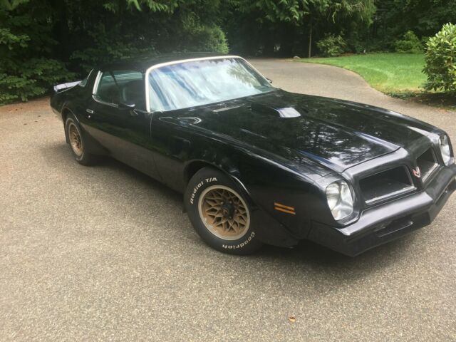 1976 Pontiac Firebird TRANS AM - photo 4