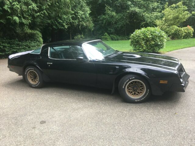 1976 Pontiac Firebird TRANS AM - photo 5