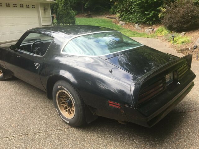 1976 Pontiac Firebird TRANS AM - photo 7
