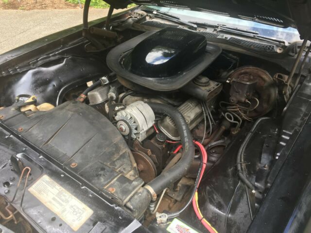 1976 Pontiac Firebird TRANS AM - photo 8