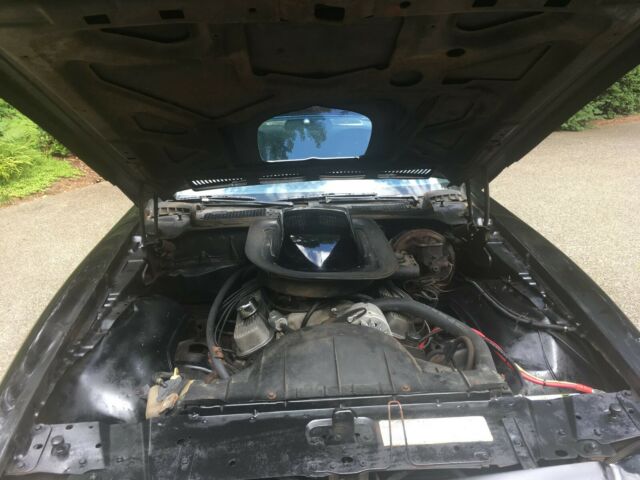 1976 Pontiac Firebird TRANS AM - photo 9