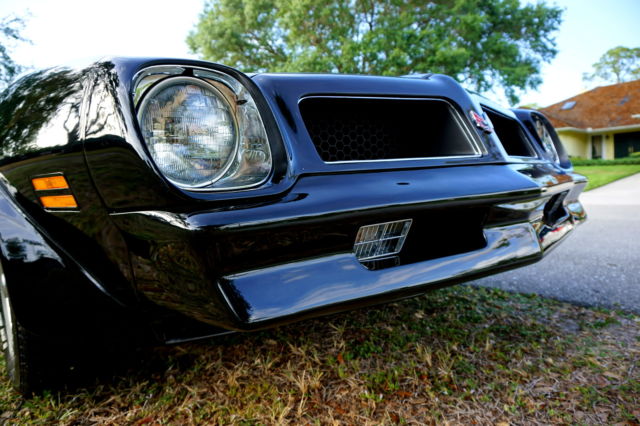 1976 Pontiac Trans Am - photo 13
