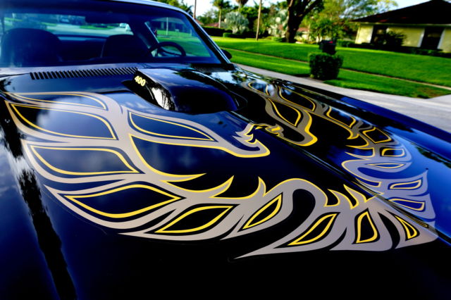 1976 Pontiac Trans Am - photo 3