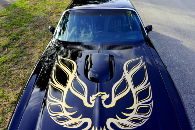 1976 Pontiac Trans Am - photo 4