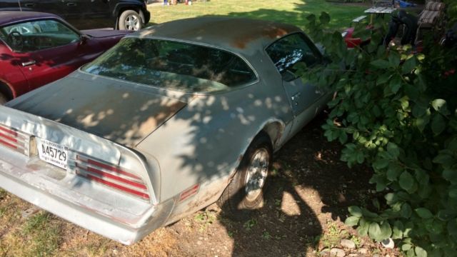 1976 Pontiac Trans Am - photo 4