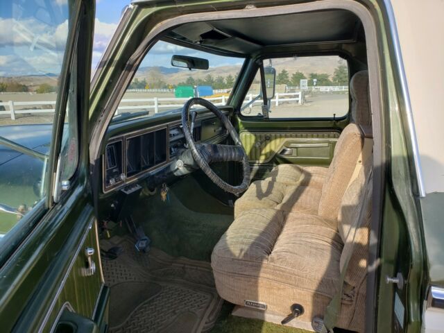 1976 Ford F-250 - photo 9