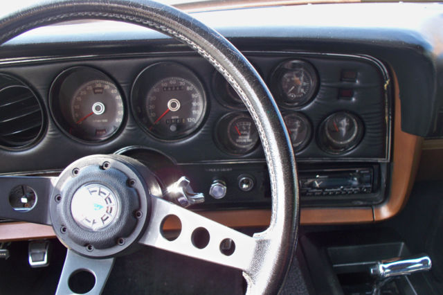 1976 Ford Torino 2D SDN - photo 9