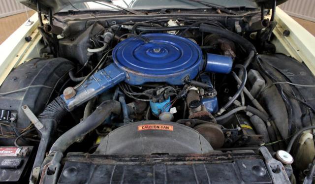 1976 Ford Thunderbird Creme and Gold Luxury - photo 9