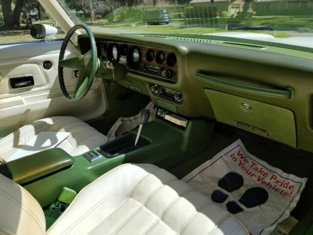 1976 Pontiac Firebird White and green - photo 4