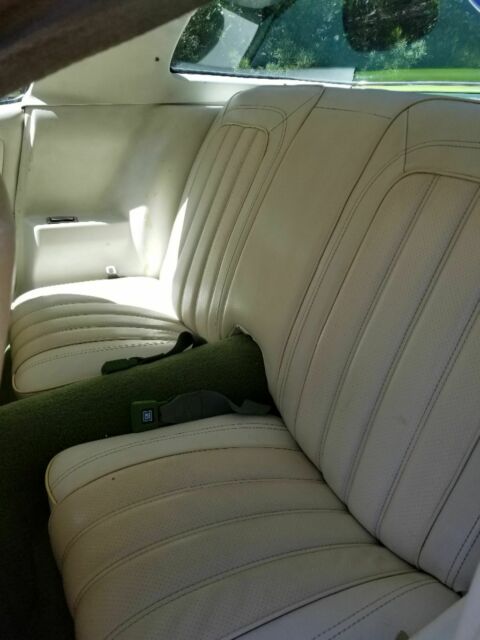 1976 Pontiac Firebird White and green - photo 5