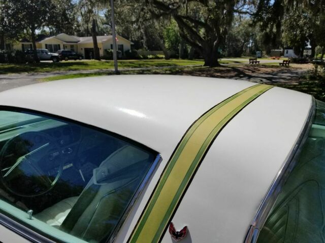 1976 Pontiac Firebird White and green - photo 6