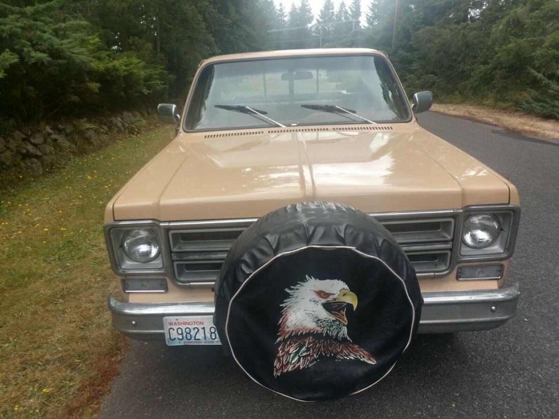 1976 GMC Sierra 2500 Sierra Classic - photo 3