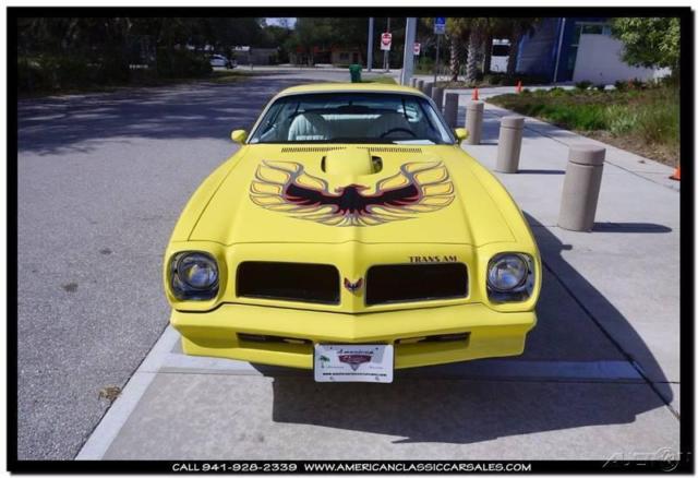 1976 Pontiac Trans Am Golden Rod Yellow - photo 12