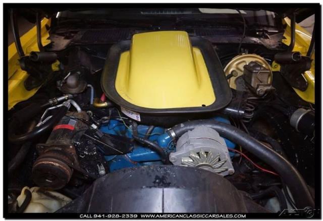 1976 Pontiac Trans Am Golden Rod Yellow - photo 3
