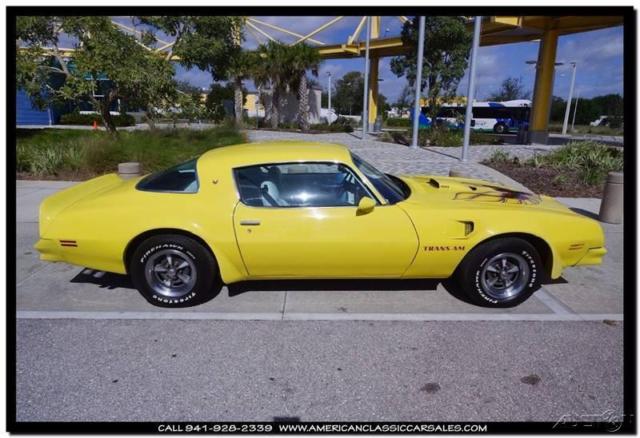 1976 Pontiac Trans Am Golden Rod Yellow - photo 8