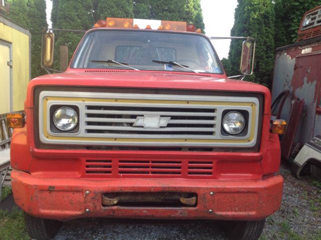 1976 Chevrolet Other - photo 6