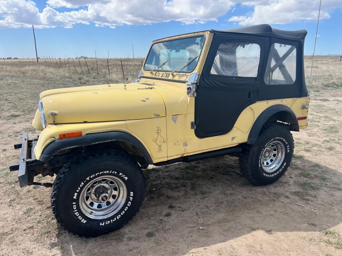 1976 Jeep CJ - photo 9