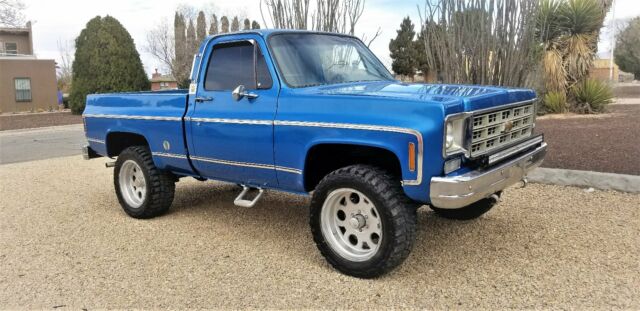 1976 Chevrolet C/K Pickup 1500 - photo 12